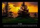 Thumbnail-10