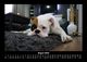 Thumbnail-12