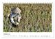 Thumbnail-12