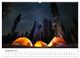 Thumbnail-11