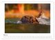 Thumbnail-9