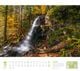 Thumbnail-11