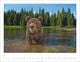 Thumbnail-8