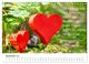 Thumbnail-14