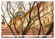 Thumbnail-4