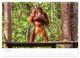 Thumbnail-11