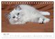 Thumbnail-9