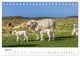 Thumbnail-9