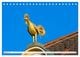 Thumbnail-13