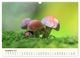 Thumbnail-14