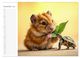 Thumbnail-14