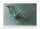 Thumbnail-13