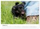 Thumbnail-11