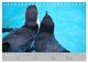 Thumbnail-14