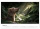 Thumbnail-13