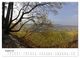 Thumbnail-9