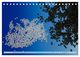 Thumbnail-14