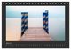 Thumbnail-12