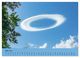 Thumbnail-11