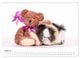 Thumbnail-10