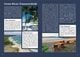 Thumbnail-10