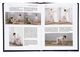 Thumbnail-10