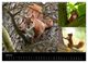 Thumbnail-12