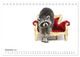 Thumbnail-14