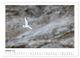 Thumbnail-12
