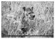 Thumbnail-14