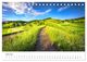 Thumbnail-8