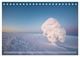 Thumbnail-11