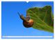 Thumbnail-13