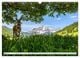 Thumbnail-9