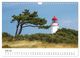 Thumbnail-12