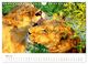 Thumbnail-7