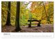 Thumbnail-12