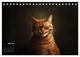 Thumbnail-9