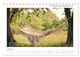 Thumbnail-11