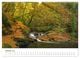 Thumbnail-12