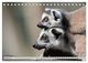Thumbnail-10