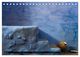 Thumbnail-10