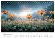 Thumbnail-14