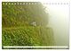 Thumbnail-12