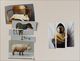 Thumbnail-3