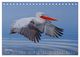 Thumbnail-9