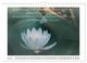 Thumbnail-11
