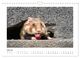 Thumbnail-12