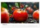 Thumbnail-13