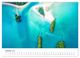 Thumbnail-12